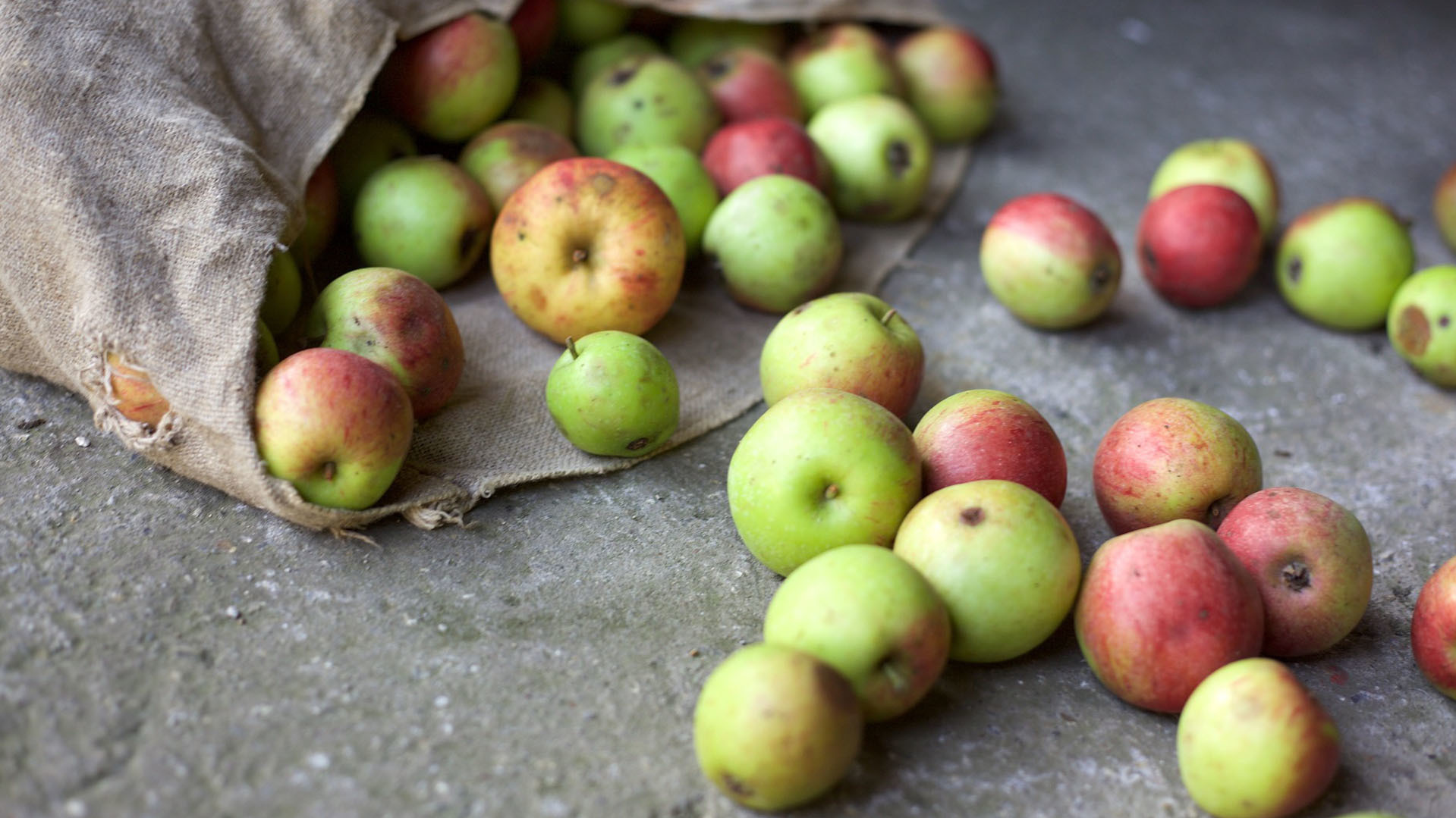 Mit der App gegen Food Waste