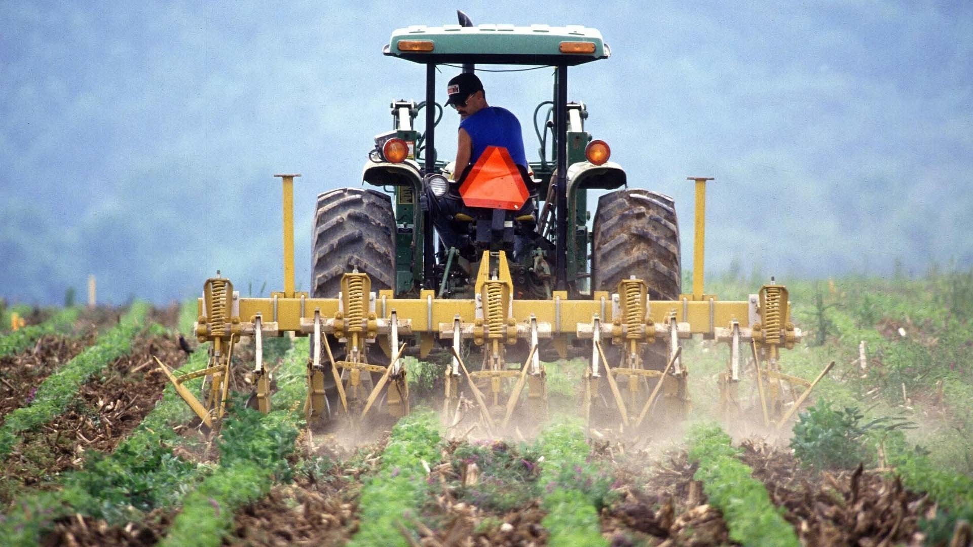 Digitalisierung in der Landwirtschaft