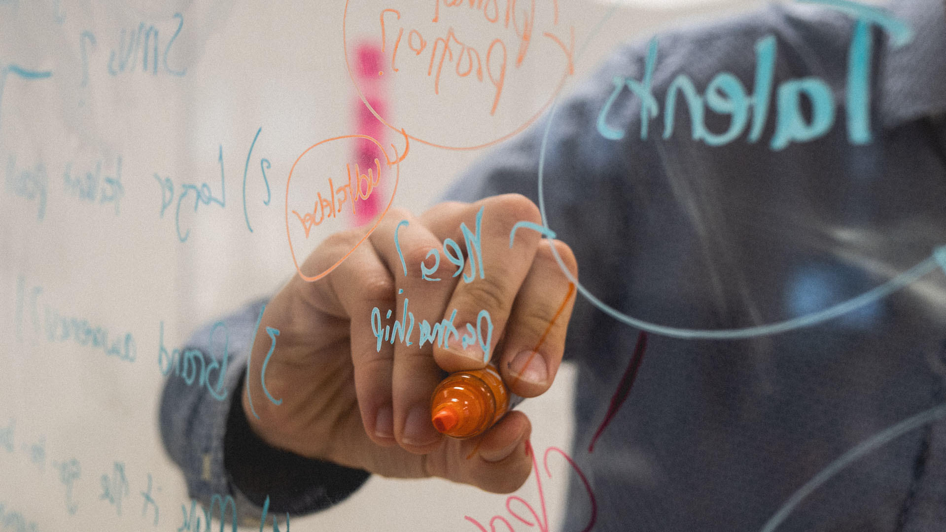 Schweizer Start-ups: Pioniere der Nachhaltigkeit