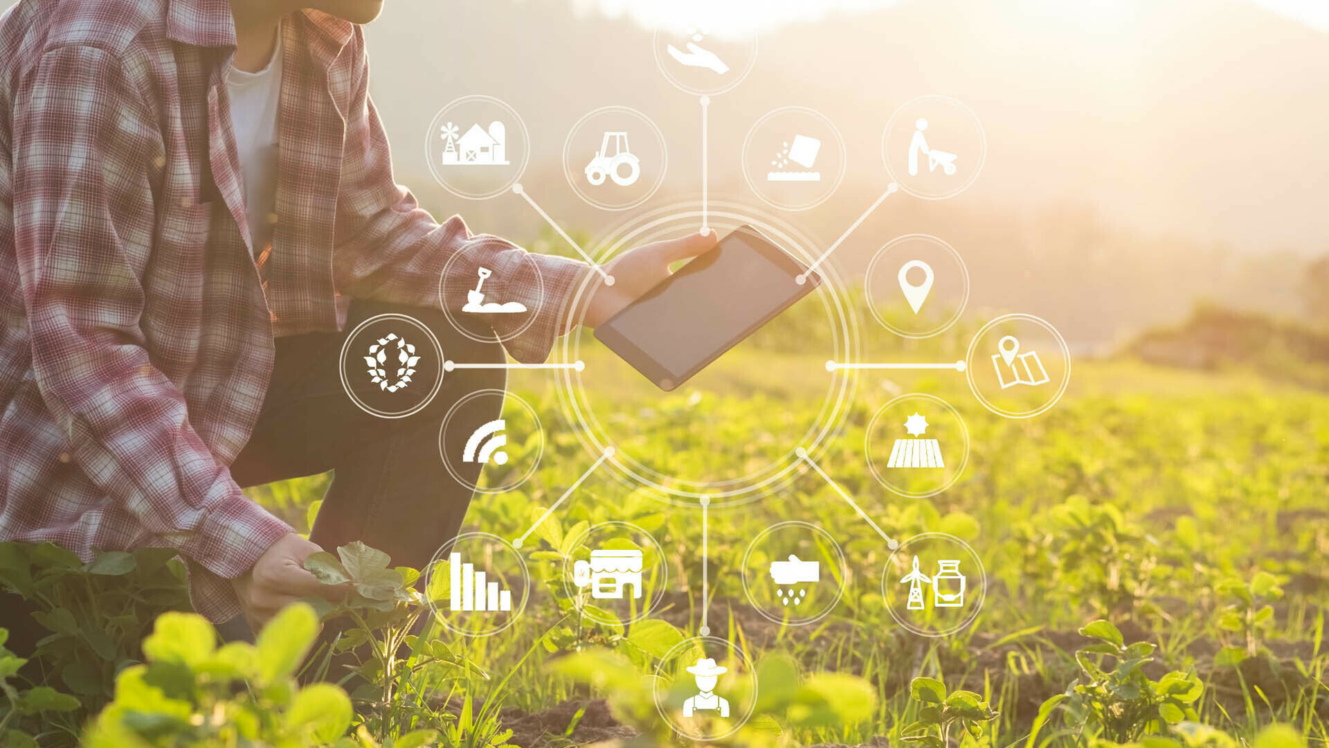 Bühler und xFarm optimieren die Lebensmittelversorgung