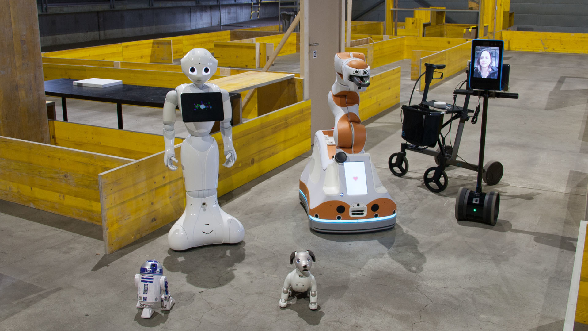 In Rorschach werden Betreuungsroboter getestet