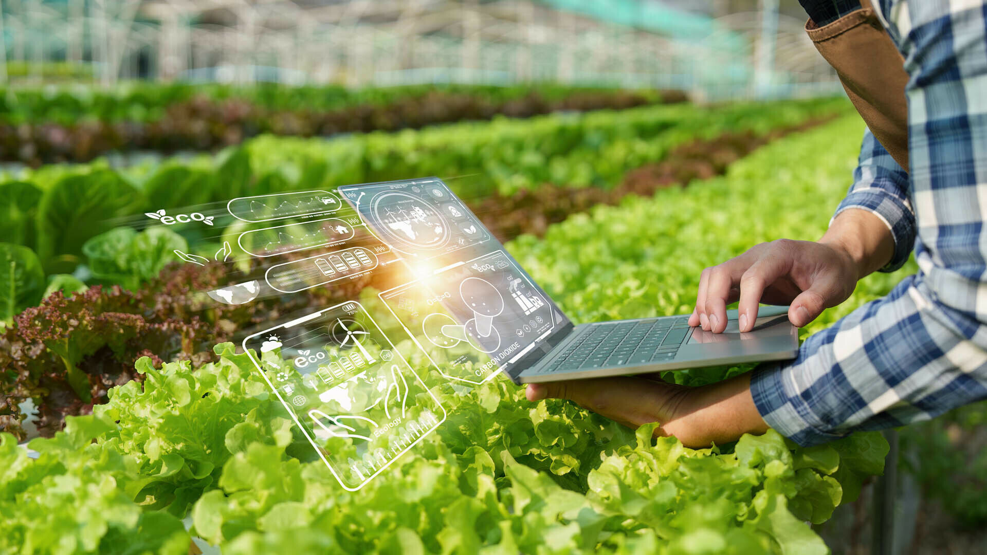 Digitale Innovationen für die Ernährungswirtschaft