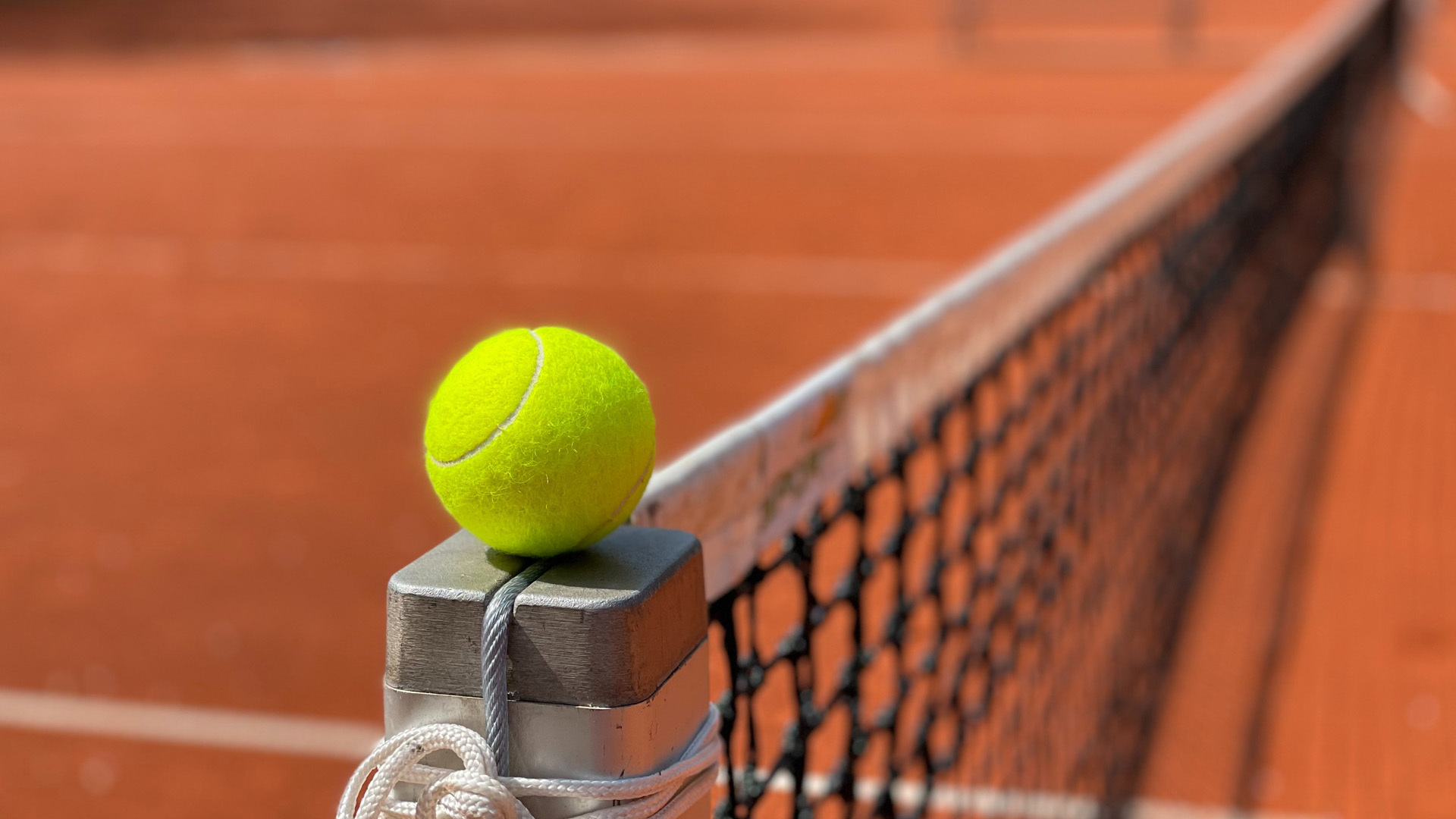 Sportradar und ATP arbeiten zusammen