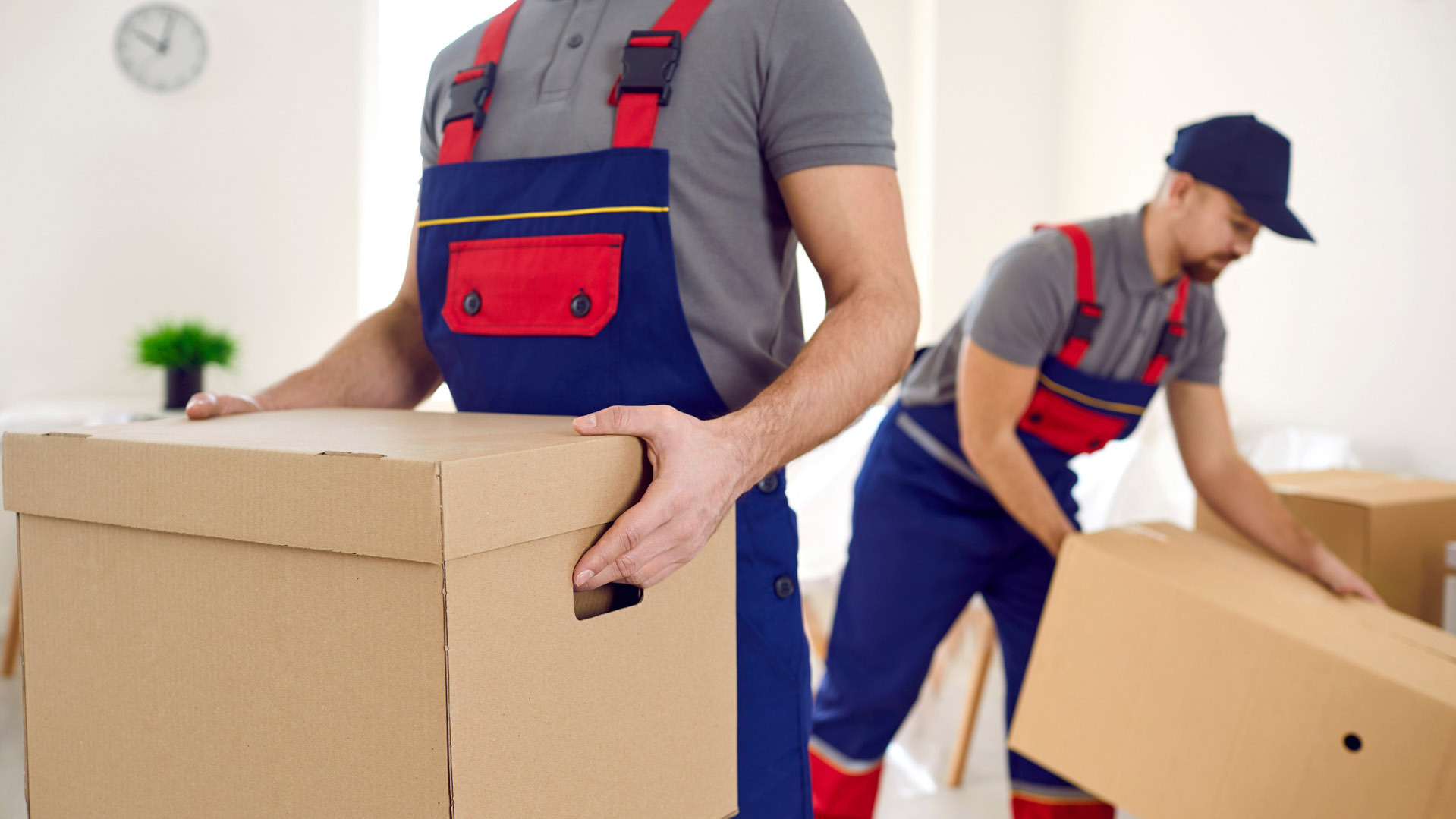 Storabble und MOVU werden Partner