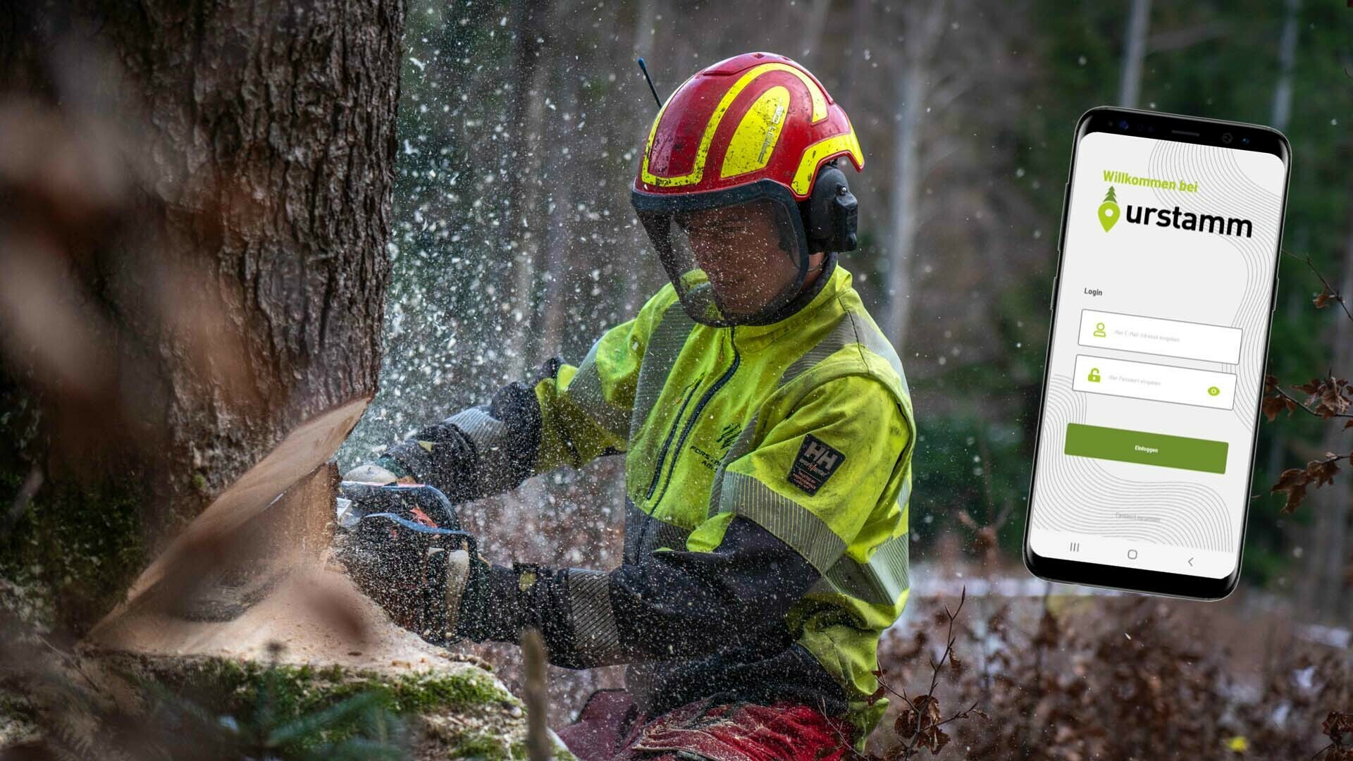 Auch Holz wird digital