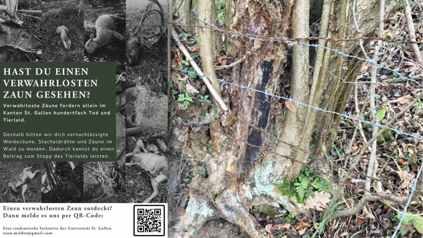 Digital Tiere retten